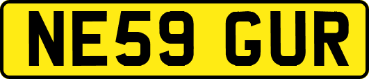 NE59GUR