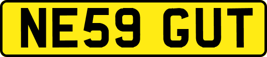 NE59GUT