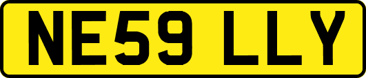 NE59LLY