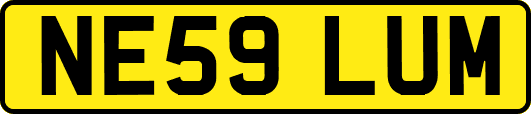 NE59LUM