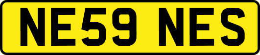 NE59NES