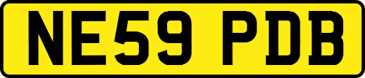 NE59PDB