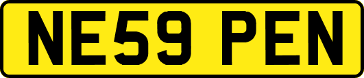 NE59PEN