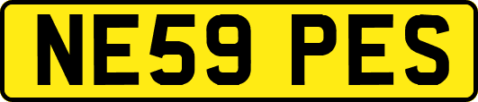 NE59PES