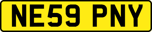 NE59PNY