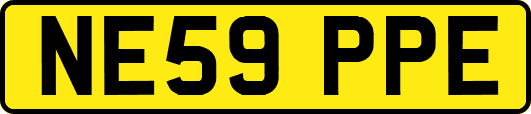 NE59PPE