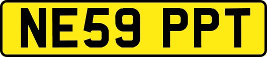 NE59PPT