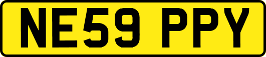 NE59PPY