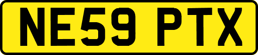 NE59PTX