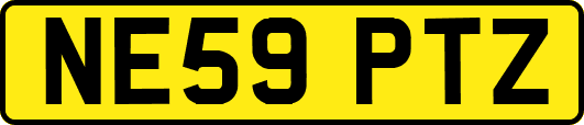 NE59PTZ