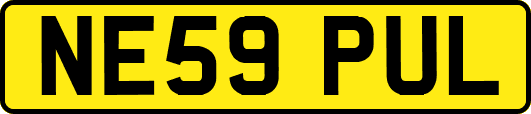 NE59PUL