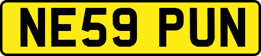 NE59PUN