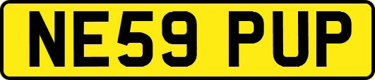 NE59PUP