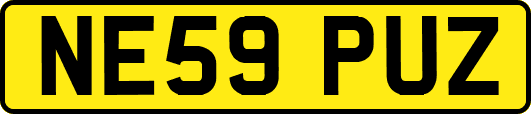 NE59PUZ