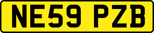 NE59PZB