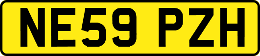 NE59PZH