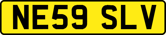 NE59SLV