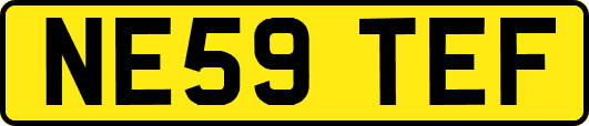 NE59TEF