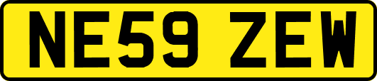 NE59ZEW