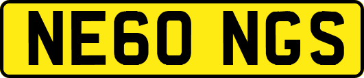 NE60NGS
