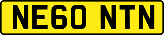 NE60NTN