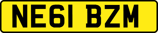 NE61BZM