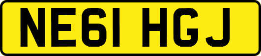 NE61HGJ