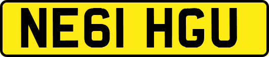 NE61HGU