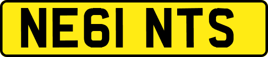 NE61NTS