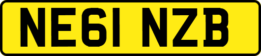 NE61NZB