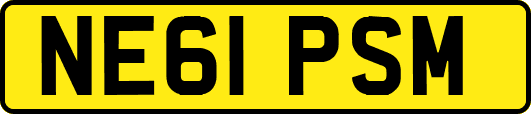 NE61PSM