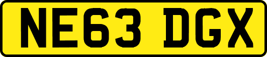 NE63DGX