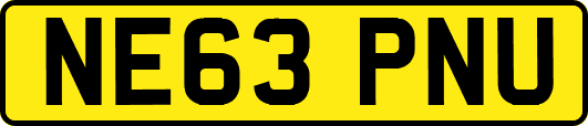 NE63PNU