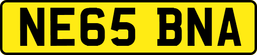NE65BNA