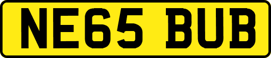 NE65BUB