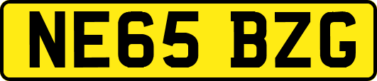 NE65BZG