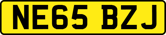NE65BZJ
