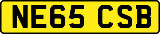 NE65CSB