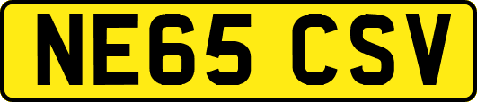 NE65CSV