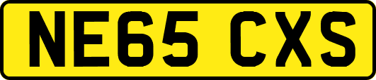 NE65CXS