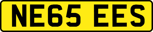 NE65EES