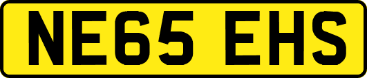 NE65EHS