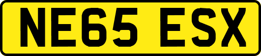 NE65ESX