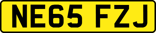NE65FZJ