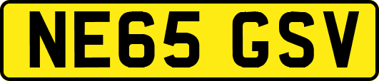 NE65GSV