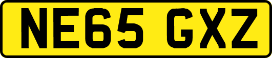NE65GXZ