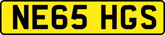 NE65HGS
