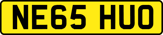 NE65HUO