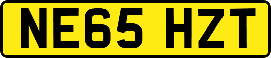 NE65HZT