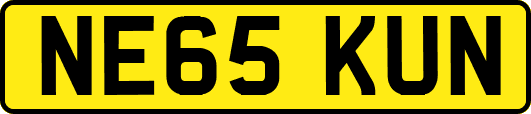NE65KUN